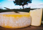 Dcomentário sobre o queijo Canastra