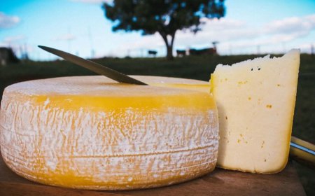 Dcomentário sobre o queijo Canastra