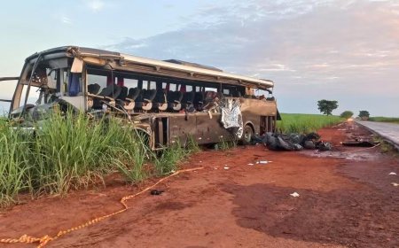 Acidente em Nuporanga (SP): batida entre caminhão e ônibus deixa ao menos 12 mortos