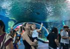 Bioparque Pantanal vira passeio obrigatório em Campo Grande e tem entrada grátis