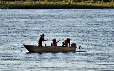 Ministério da Pesca cancela mais de 76 mil licenças de pescadores no país