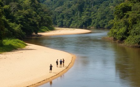 Homem desliza de barranco de fazenda e cai em rio em São Gabriel do Oeste