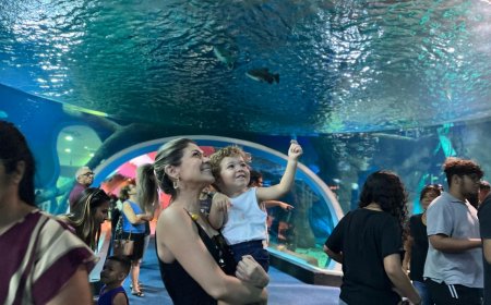 Bioparque Pantanal vira passeio obrigatório em Campo Grande e tem entrada grátis