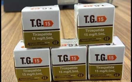 MS renova mapeamento de criativos e reforça base para políticas públicas do setor