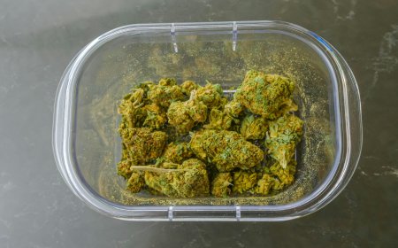 Perseguição termina com quase 2,4 toneladas de maconha apreendidas em Dourados