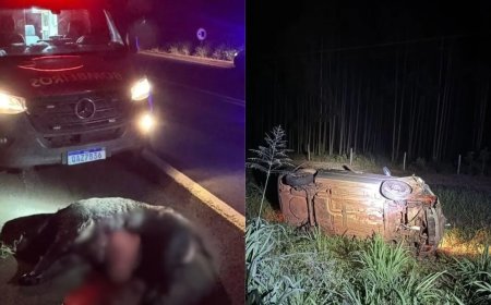 Javali entra na pista e carro capota na BR-276; motorista vai parar no hospital
