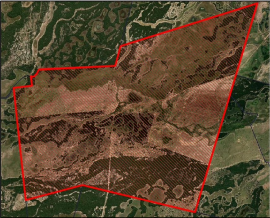 PF apura desmate de 1,1 mil hectares no Pantanal e mira fazenda investigada em Corumbá