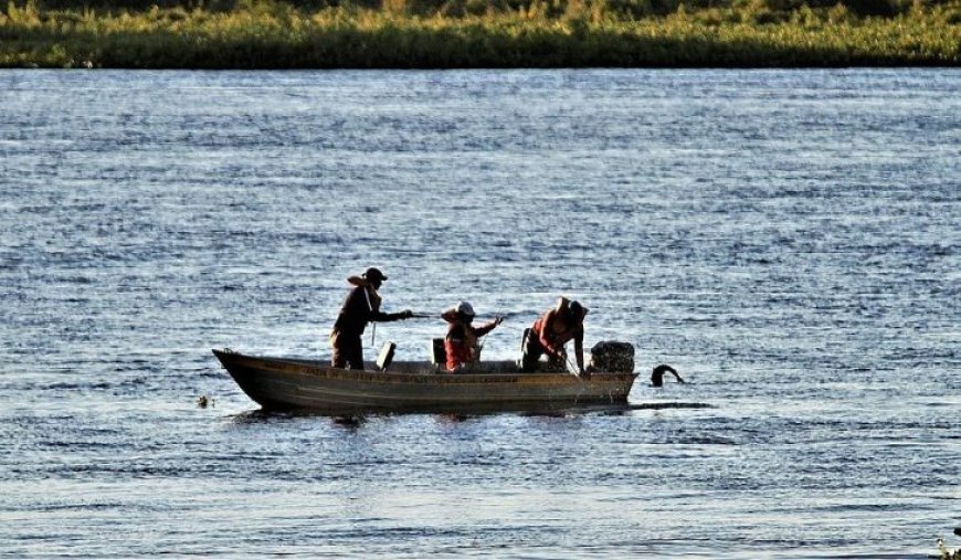 Ministério da Pesca cancela mais de 76 mil licenças de pescadores no país