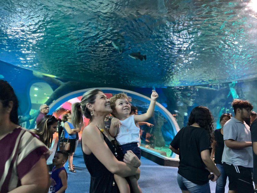 Bioparque Pantanal vira passeio obrigatório em Campo Grande e tem entrada grátis