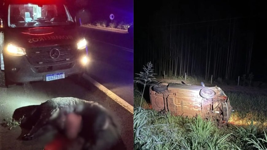 Javali entra na pista e carro capota na BR-276; motorista vai parar no hospital