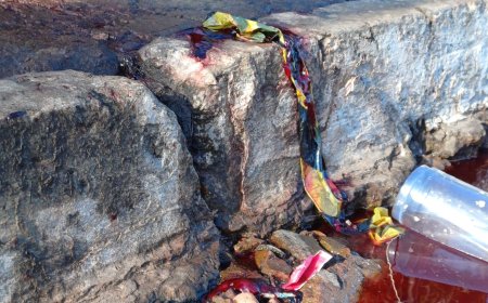 Briga em tabacaria termina em morte: segurança leva tiro na cabeça e não resiste