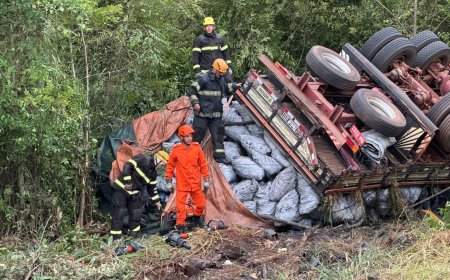 Tragédia na MS-040: caminhão de carvão tomba e motorista morre