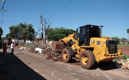 BBB do Lixo: Câmeras Flagram Descarte Ilegal no Jardim das Hortênsias