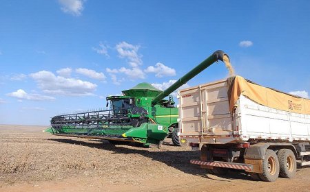 Crédito Rural em Mato Grosso do Sul Cai 46% e Produtor Prioriza Manter a Lavoura