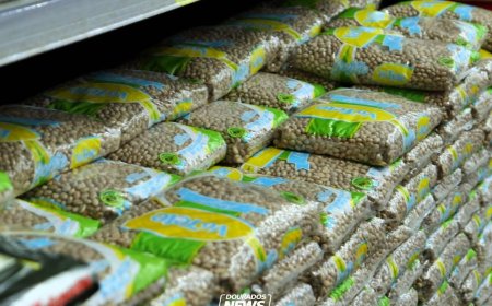 Cesta Básica em Dourados: Alta nos Preços de Feijão, Margarina e Tomate