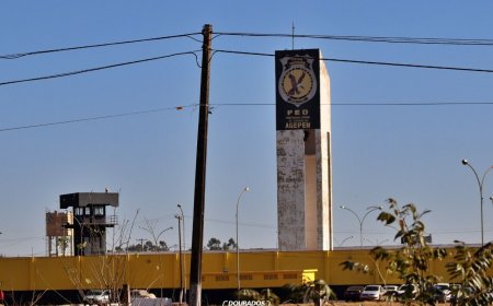 Golpe do 'falso advogado' era realizado a partir de Dourados, diz polícia do DF