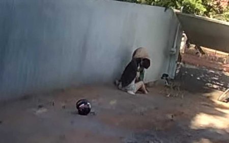 Cão morre ao defender tutora de ataque de Pitbull em Campo Grande