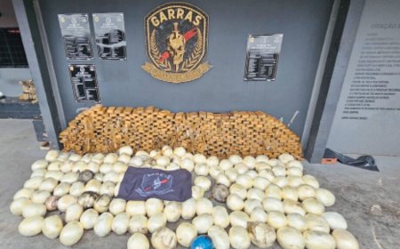 Polícia Apreende R$ 30 Milhões em Cocaína em Mato Grosso do Sul