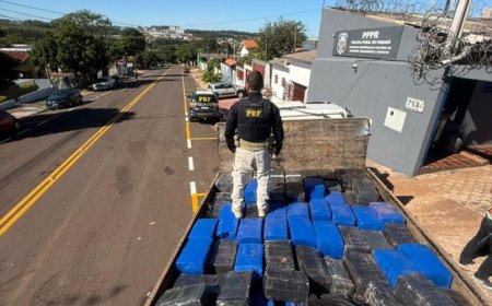 Quase três toneladas de drogas e armas que saíram de MS são apreendidas no Paraná