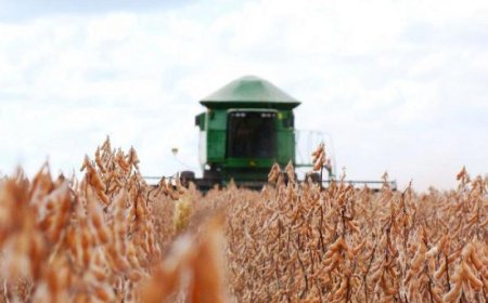 Mato Grosso do Sul é o 4º estado com mais pedidos de recuperação judicial no agronegócio