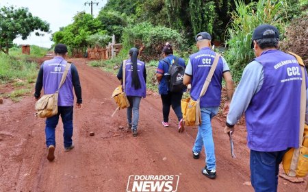 Epidemia de Chikungunya na Reserva Indígena de Dourados: Casos Sobem e Preocupam Autoridades