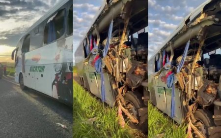 Acidente entre ônibus e caminhão na BR-267 deixa duas mortes em MS