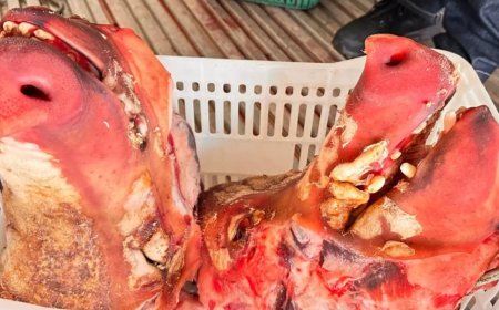 Quatro Toneladas de Carne Imprópria Apreendidas em Dourados