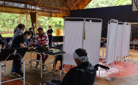 Câmara de Dourados lança campanha para ajudar indígenas afetados pela chikungunya