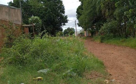 Cobrança de IPTU por Asfalto Inexistente em Campo Grande