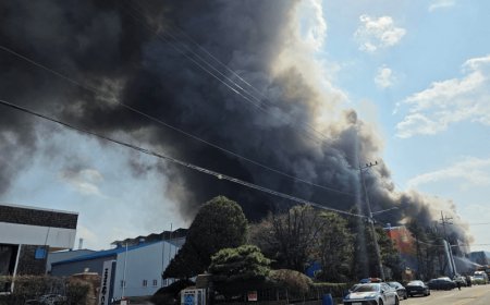 Incêndio em fábrica de autopeças na Coreia do Sul deixa dezenas de feridos