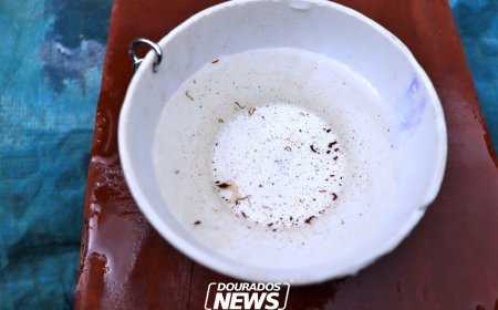 Sesai contrata apenas 2 agentes por aldeia para combater Chikungunya