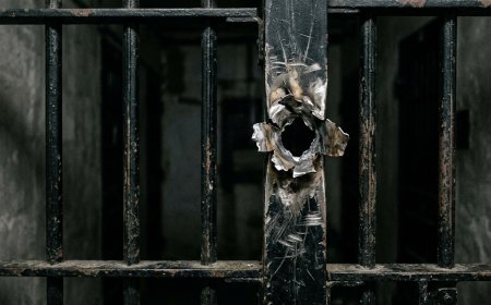 Tentativa de Homicídio em Rochedo: Jovem é Baleado