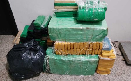 Casal preso com 289 kg de drogas em Dourados