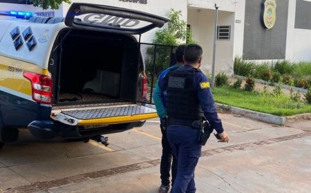 Pintor é Preso por Importunação Sexual em Obra de Construção