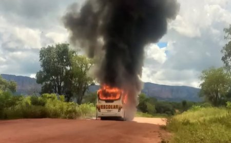 Ônibus Escolar Pega Fogo em Rodovia de Acesso a Cipolândia