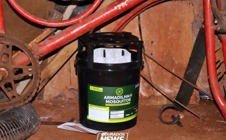 Dourados Instala 'Armadilhas' Contra o Aedes