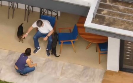Bolsonaro Recebe Alta e Brinca com Cachorros em Casa