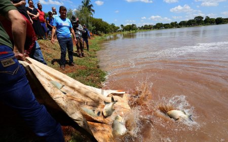 Prefeitura de Dourados Soltou 3 Toneladas de Peixes no Parque