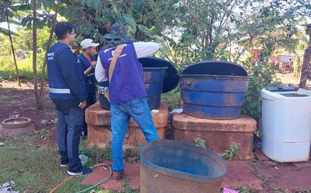 Mato Grosso do Sul Intensifica Ações Contra Chikungunya