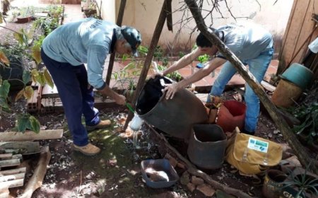 Mato Grosso do Sul em Alerta: 12 Municípios Afetados pela Epidemia de Chikungunya