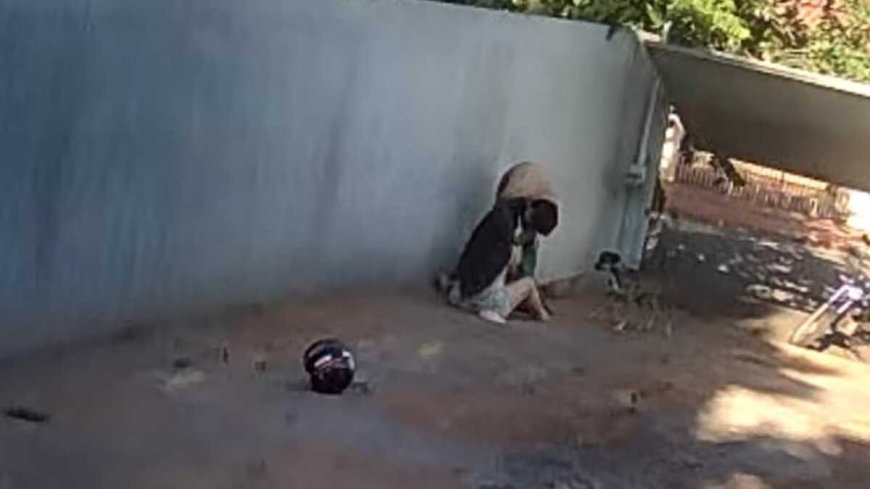 Cão morre ao defender tutora de ataque de Pitbull em Campo Grande