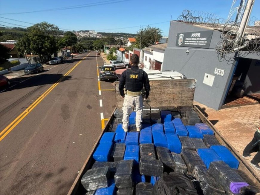 Quase três toneladas de drogas e armas que saíram de MS são apreendidas no Paraná