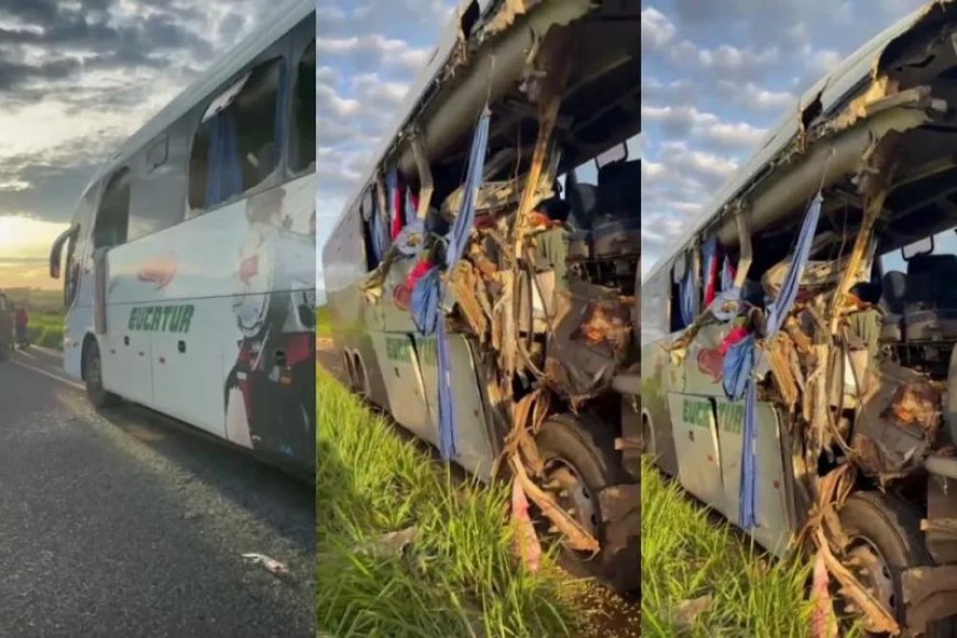 Acidente entre ônibus e caminhão na BR-267 deixa duas mortes em MS
