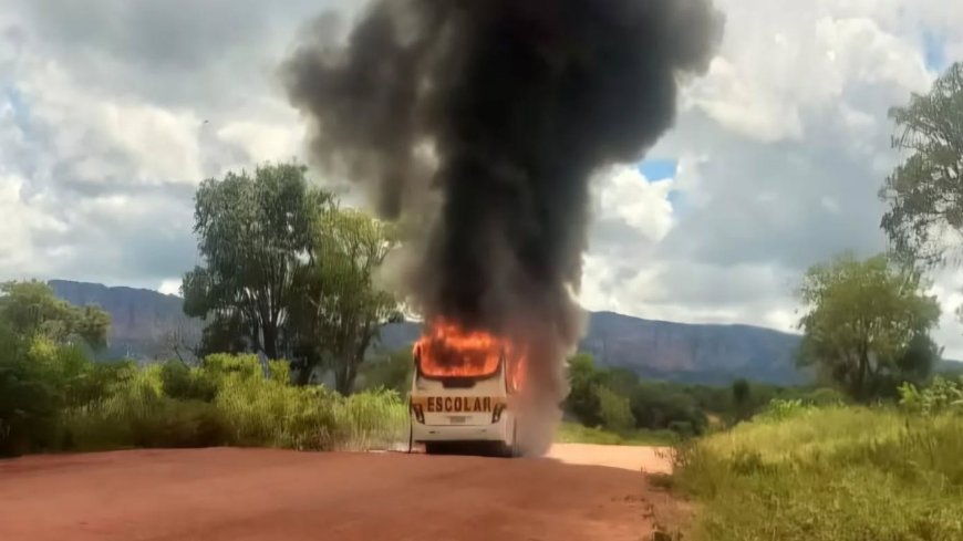 Ônibus Escolar Pega Fogo em Rodovia de Acesso a Cipolândia