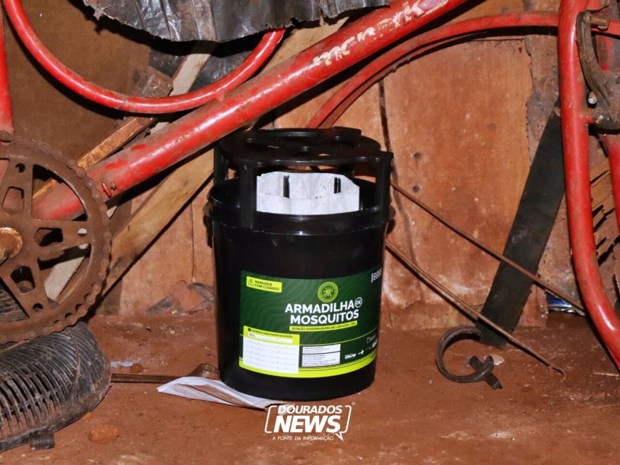 Dourados Instala 'Armadilhas' Contra o Aedes