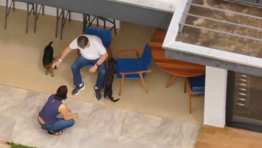 Bolsonaro Recebe Alta e Brinca com Cachorros em Casa