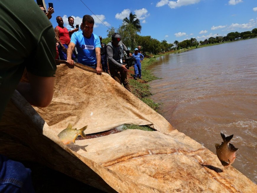 Dourados Recebe 2ª Festa da Páscoa com Soltura de 3 Toneladas de Peixes