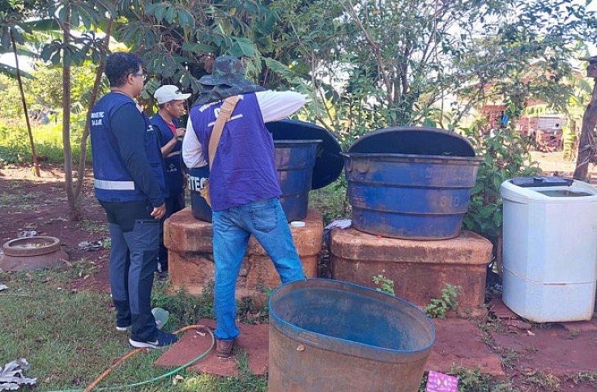 Mato Grosso do Sul Intensifica Ações Contra Chikungunya