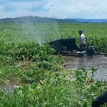 Moradores do Castelo criam estrada improvisada após canal ser obstruído por vegetação aquática
