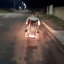 Estudante Cadeirante Enfrenta Dificuldades no Transporte